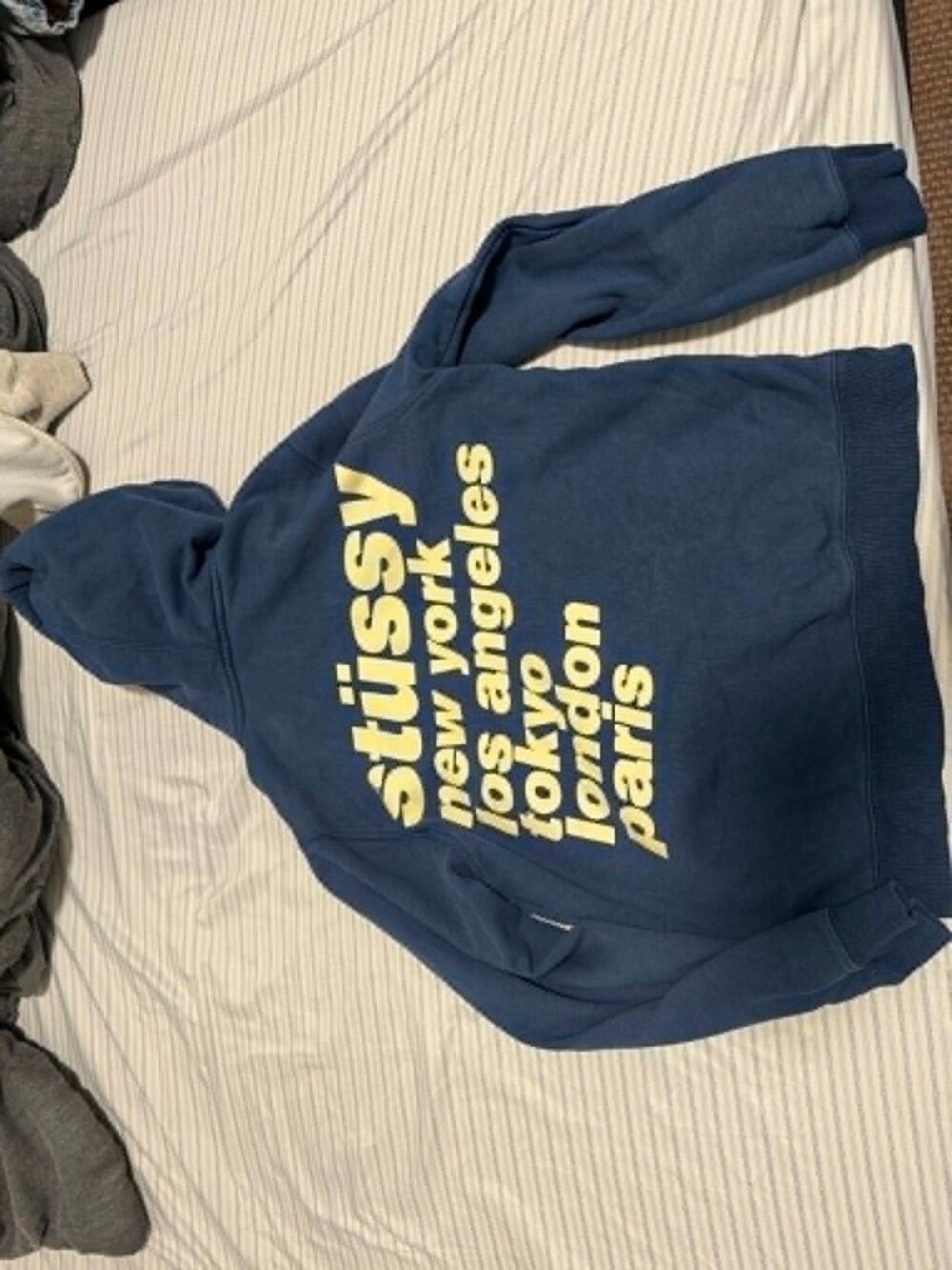 Stussy Hoodie Blue